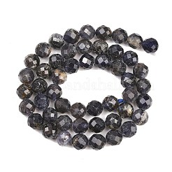Natural Iolite Beads Strands&nbsp;G-RM250101-E7