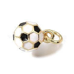 3D Brass Enamel Charms&nbsp;KK-CBAEEA8-01G