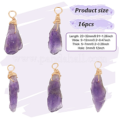16Pcs Raw Rough Natural Amethyst Copper Wire Wrapped Pendants&nbsp;PALLOY-AB00104