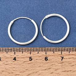 Brass Hoop Earrings&nbsp;EJEW-G474-01S-03
