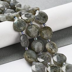 Natural Labradorite Beads Strands&nbsp;G-NH0004-001