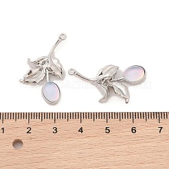 Alloy & Resin Pendants&nbsp;FIND-Z053-04A-01