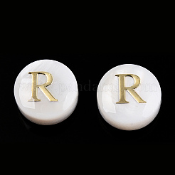 Natural Freshwater Shell Beads&nbsp;SHEL-N036-01R