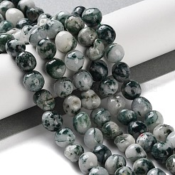 天然石ツリーアゲート瑪瑙ビーズ連売り  ナゲット  タンブルストーン  8~9.5x7~8.5x7~8.5mm  穴：1mm  約46個/連  15.43''（39.2センチメートル）&nbsp;G-NH0035-01