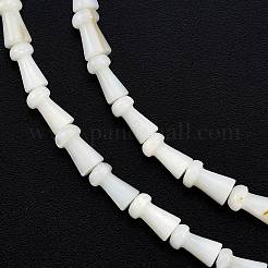 天然淡水シェルビーズ連売り  染色されていない  キノコ  ホワイト  7.5x4mm  穴：0.7mm  約50個/連  14.76インチ（37.5cm）&nbsp;SHEL-G013-02D