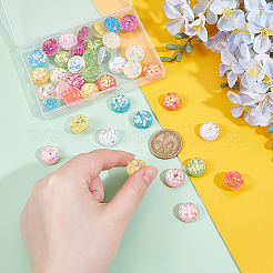48Pcs 8 Colors Transparent Resin Cabochons&nbsp;RESI-PH0002-53
