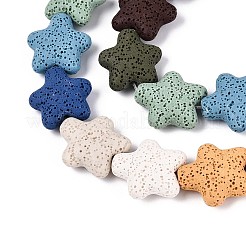 Natural Lava Rock Beads Strands&nbsp;G-N257-23A-01