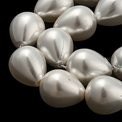 Teardrop Shell Pearl Bead Strands&nbsp;BSHE-L015-12x16-01