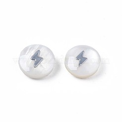 Natural Freshwater Shell Beads&nbsp;SHEL-N003-22-02P