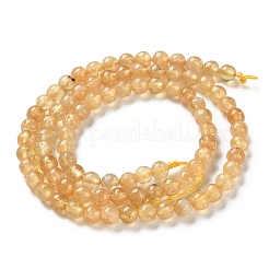 Natural Yellow Garnet Beads Strands&nbsp;G-Z129-C01-5mm-02