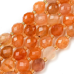 Natural Orange Botswana Agate Beads Strands&nbsp;G-N342-40