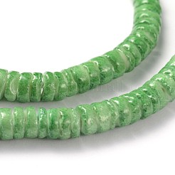 Natural Sea Shell Beads Strands&nbsp;BSHE-O009-12