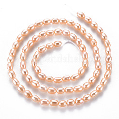天然養殖淡水パールビーズ連売り  ライス  ライトサーモン  4.5~6x3~3.5mm  穴：0.5mm  約76~78個/連  14.37インチ（36.5cm）&nbsp;PEAR-N012-02C
