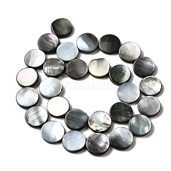 天然ブラックリップシェルビーズ連売り  フラットラウンド  14~14.5x3mm  穴：1.2mm  約28個/連  15.67''（39.8センチメートル）&nbsp;BSHE-D300-05-14mm