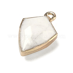 Natural Howlite Pendants&nbsp;G-K422-01G-09