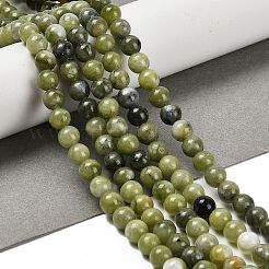 Natural TaiWan Jade Beads Strands&nbsp;G-B128-A07-02