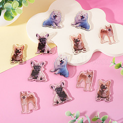 12個4スタイルプリントアクリルパーツ  犬  40x25~37x3mm  穴：2mm  3個/スタイル&nbsp;OACR-TA0004-14B