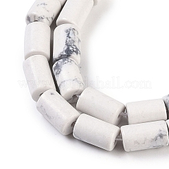 Natural Howlite Beads Strands&nbsp;G-C128-A37-01