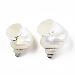 天然スパイラルシェルビーズ  穴がない  シェル  21~29x21~29x17~25mm&nbsp;X-SSHEL-N034-126