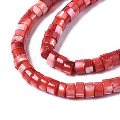 Natural Trochus Shell Beads Strands&nbsp;SHEL-S278-027D
