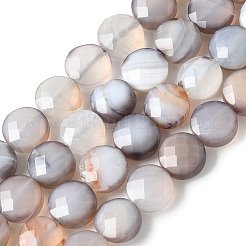 Natural Grey Botswana Agate Beads Strands&nbsp;G-C179-A50-03