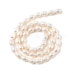 天然養殖淡水パールビーズ連売り  ライス  グレード3 A  古いレース  6~7mm  穴：0.7mm  約40~41個/連  13.31~13.58''（33.8~34.5センチメートル）&nbsp;PEAR-I007-01C-06A