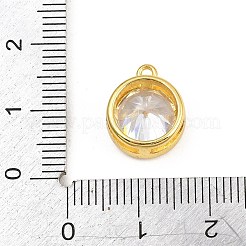 Brass Pave Clear Cubic Zirconia Charms&nbsp;CU-CBAD306-24C-G