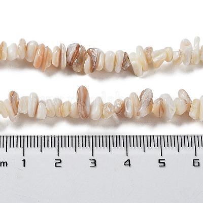 Natural Shell Beads Strands&nbsp;G-F328-45-1