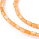 Natural Freshwater Shell Dyed Beads Strands&nbsp;SHEL-M018-12-07-3