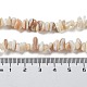 Natural Shell Beads Strands&nbsp;G-F328-45-4