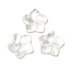マザーオブパールシェルペンダント  花  18.5x19x2mm  穴：1.5mm&nbsp;SSHEL-G014-60