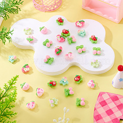 30Pcs Opaque Resin Decoden Cabochons&nbsp;RESI-TADJ0001-14