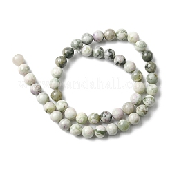 Natural Peace Jade Beads Strands&nbsp;X-G-E598-04B