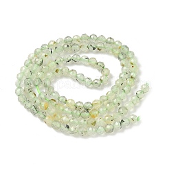 Natural Prehnite Beads Strands&nbsp;G-S300-12-3mm-01