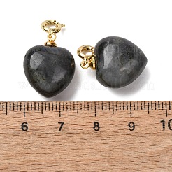 天然ラルビカイトのハートペンダント装飾  真鍮の留め金付き  ゴールドカラー  24.5~25.5mm  穴：3mm&nbsp;G-B188-06G-10