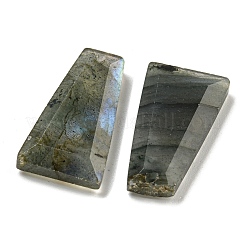 天然石ラブラドライトペンダント  ファセット台形チャーム  25x13x4mm  穴：1mm&nbsp;G-G123-02D