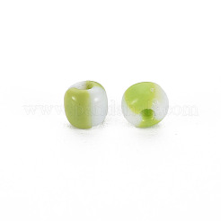6/0 Glass Seed Beads&nbsp;SEED-S007-8
