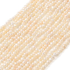 Natural Cultured Freshwater Pearl Beads Strands&nbsp;PEAR-L034-13C