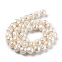Natural Cultured Freshwater Pearl Beads Strands&nbsp;PEAR-L033-21-01
