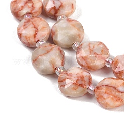 Natural Red Netstone Beads Strands&nbsp;G-C116-A71-01