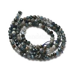 Natural Apatite Beads Strands&nbsp;LS-G-RM2025-A18-3mm-A