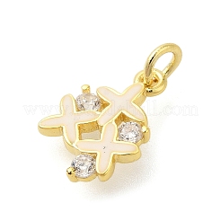 Rack Plating Brass Micro Pave Cubic Zirconia Charms&nbsp;KK-S396-46G