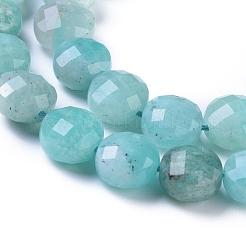 Natural Amazonite Beads Strands&nbsp;G-I249-A23