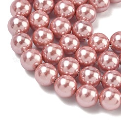Electroplated Shell Pearl Beads Strands&nbsp;BSHE-G041-8mm-05