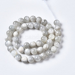 Natural White Moonstone Beads Strands&nbsp;G-N328-51B-01