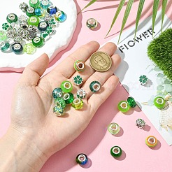 50Pcs Resin European Beads&nbsp;RESI-CJC0050-01A