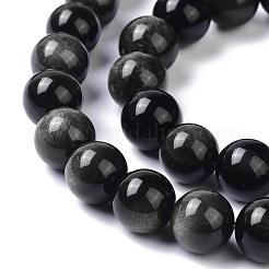 Natural Silver Obsidian Beads Strands&nbsp;G-D083-01C