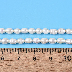 Natural Cultured Freshwater Pearl Beads Strands&nbsp;PEAR-N024-04-2AB