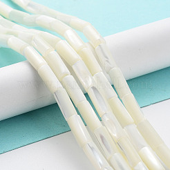 Natural Trochus Shell Beads Strands&nbsp;SSHEL-S266-020A-06