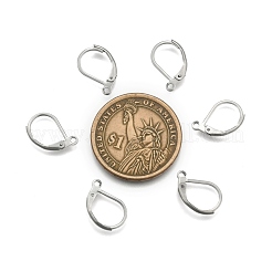 Tarnish Resistant 304 Stainless Steel Leverback Earring Findings&nbsp;STAS-E007-3